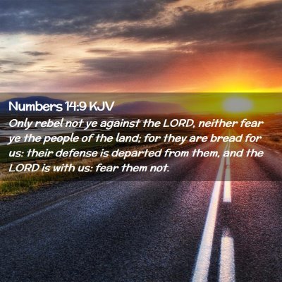 Picture 02 - Numbers 14:9 KJV - Only rebel not ye against the LORD, neither fear - Bible Verse Picture