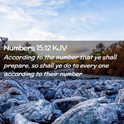Picture 02 - Numbers 15:12 KJV - According to the number that ye shall prepare, so - Bible Verse Picture