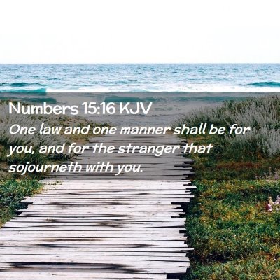 Picture 02 - Numbers 15:16 KJV - One law and one manner shall be for you, and for - Bible Verse Picture