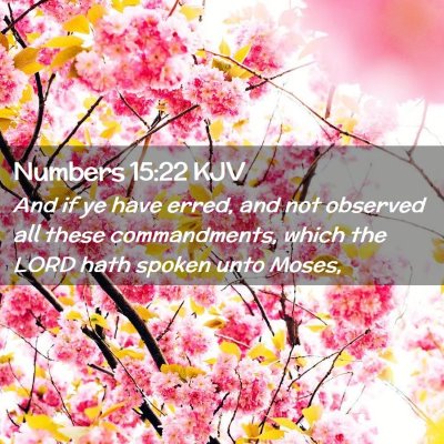 Picture 02 - Numbers 15:22 KJV - And if ye have erred, and not observed all these - Bible Verse Picture