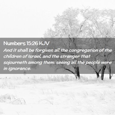 Picture 02 - Numbers 15:26 KJV - And it shall be forgiven all the congregation of - Bible Verse Picture