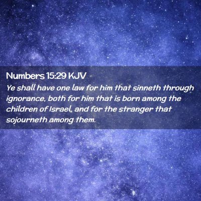 Picture 02 - Numbers 15:29 KJV - Ye shall have one law for him that sinneth - Bible Verse Picture