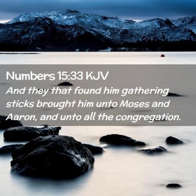 Picture 02 - Numbers 15:33 KJV - And they that found him gathering sticks brought - Bible Verse Picture