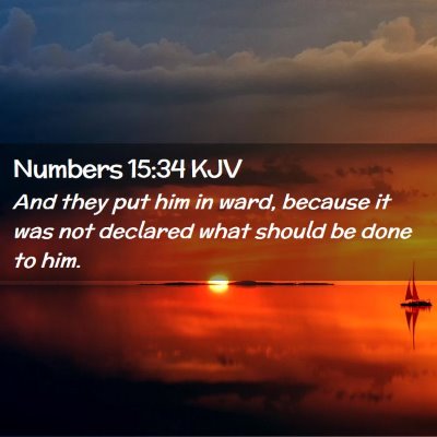 Picture 02 - Numbers 15:34 KJV - And they put him in ward, because it was not - Bible Verse Picture
