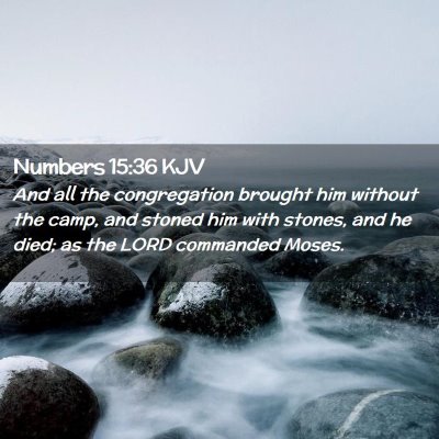 Picture 02 - Numbers 15:36 KJV - And all the congregation brought him without the - Bible Verse Picture