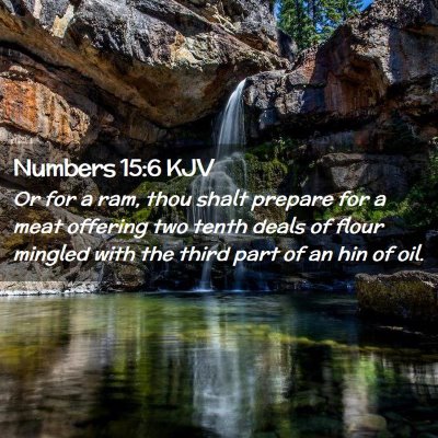 Picture 02 - Numbers 15:6 KJV - Or for a ram, thou shalt prepare for a meat - Bible Verse Picture