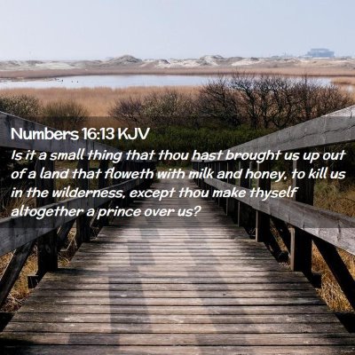 Picture 02 - Numbers 16:13 KJV - Is it a small thing that thou hast brought us up - Bible Verse Picture