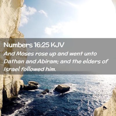 Picture 02 - Numbers 16:25 KJV - And Moses rose up and went unto Dathan and - Bible Verse Picture