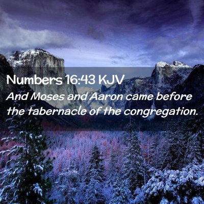 Picture 02 - Numbers 16:43 KJV - And Moses and Aaron came before the tabernacle of - Bible Verse Picture