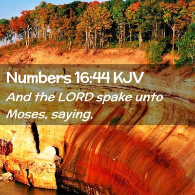 Picture 02 - Numbers 16:44 KJV - And the LORD spake unto Moses, - Bible Verse Picture