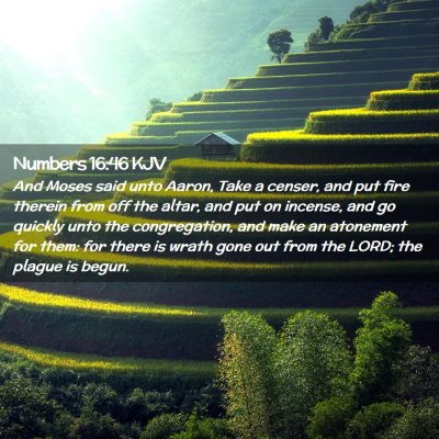 Picture 02 - Numbers 16:46 KJV - And Moses said unto Aaron, Take a censer, and put - Bible Verse Picture