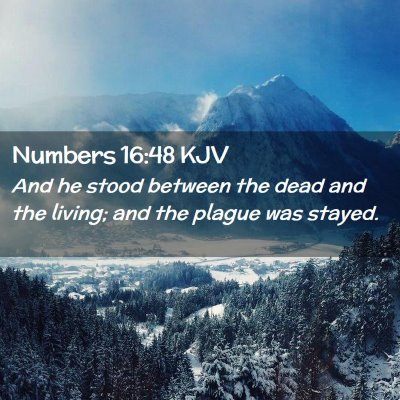 Picture 02 - Numbers 16:48 KJV - And he stood between the dead and the living; and - Bible Verse Picture
