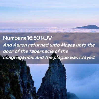 Picture 02 - Numbers 16:50 KJV - And Aaron returned unto Moses unto the door of - Bible Verse Picture