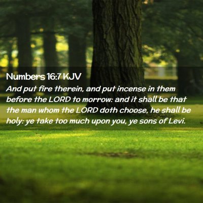 Picture 02 - Numbers 16:7 KJV - And put fire therein, and put incense in them - Bible Verse Picture