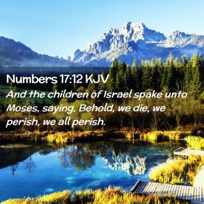 Picture 02 - Numbers 17:12 KJV - And the children of Israel spake unto Moses, - Bible Verse Picture