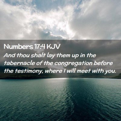 Picture 02 - Numbers 17:4 KJV - And thou shalt lay them up in the tabernacle of - Bible Verse Picture