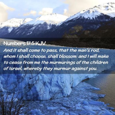 Picture 02 - Numbers 17:5 KJV - And it shall come to pass, that the man's rod, - Bible Verse Picture