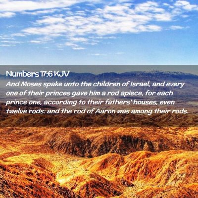 Picture 02 - Numbers 17:6 KJV - And Moses spake unto the children of Israel, and - Bible Verse Picture