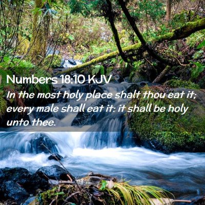 Picture 02 - Numbers 18:10 KJV - In the most holy place shalt thou eat it; every - Bible Verse Picture