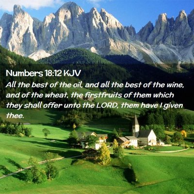 Picture 02 - Numbers 18:12 KJV - All the best of the oil, and all the best of the - Bible Verse Picture