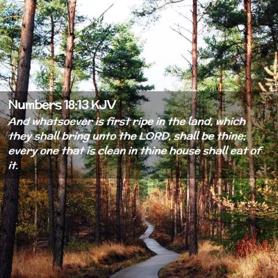 Picture 02 - Numbers 18:13 KJV - And whatsoever is first ripe in the land, which - Bible Verse Picture