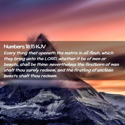 Picture 02 - Numbers 18:15 KJV - Every thing that openeth the matrix in all flesh, - Bible Verse Picture