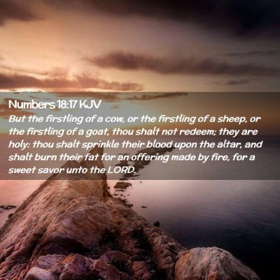 Picture 02 - Numbers 18:17 KJV - But the firstling of a cow, or the firstling of a - Bible Verse Picture