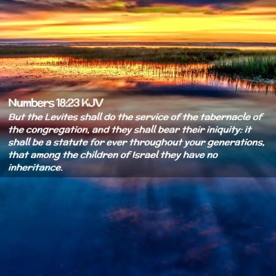 Picture 02 - Numbers 18:23 KJV - But the Levites shall do the service of the - Bible Verse Picture