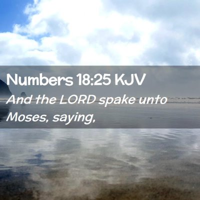 Picture 02 - Numbers 18:25 KJV - And the LORD spake unto Moses, - Bible Verse Picture