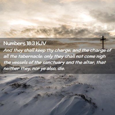 Picture 02 - Numbers 18:3 KJV - And they shall keep thy charge, and the charge of - Bible Verse Picture