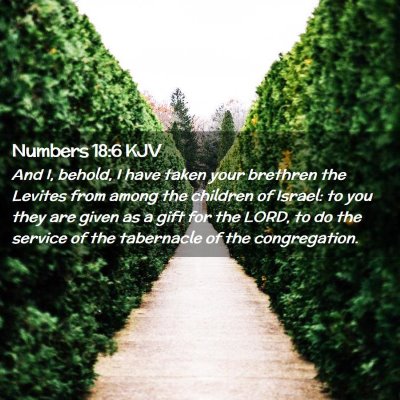 Picture 02 - Numbers 18:6 KJV - And I, behold, I have taken your brethren the - Bible Verse Picture