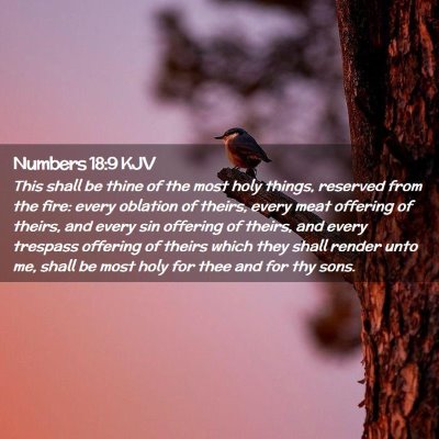 Picture 02 - Numbers 18:9 KJV - This shall be thine of the most holy things, - Bible Verse Picture