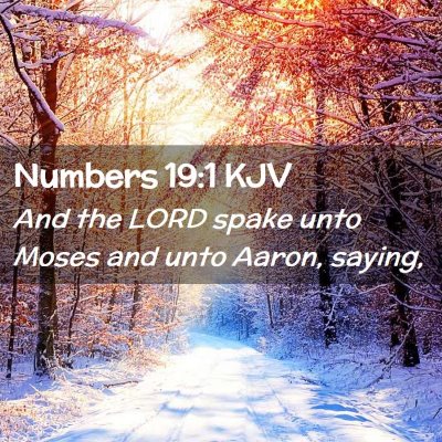 Picture 02 - Numbers 19:1 KJV - And the LORD spake unto Moses and unto Aaron, - Bible Verse Picture