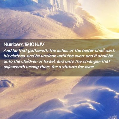 Picture 02 - Numbers 19:10 KJV - And he that gathereth the ashes of the heifer - Bible Verse Picture