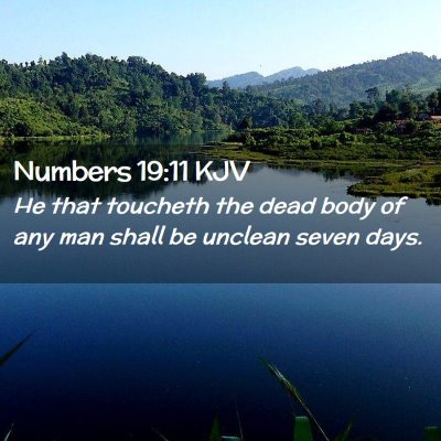 Picture 02 - Numbers 19:11 KJV - He that toucheth the dead body of any man shall - Bible Verse Picture