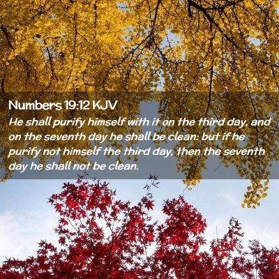 Picture 02 - Numbers 19:12 KJV - He shall purify himself with it on the third day, - Bible Verse Picture