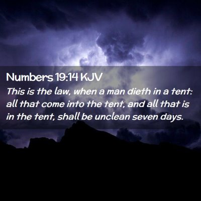 Picture 02 - Numbers 19:14 KJV - This is the law, when a man dieth in a tent: all - Bible Verse Picture