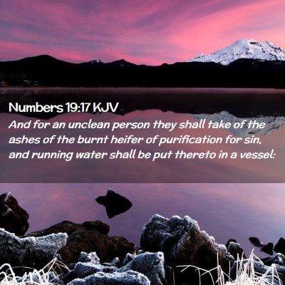 Picture 02 - Numbers 19:17 KJV - And for an unclean person they shall take of the - Bible Verse Picture