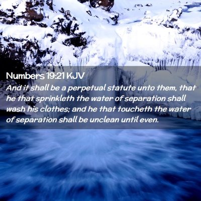 Picture 02 - Numbers 19:21 KJV - And it shall be a perpetual statute unto them, - Bible Verse Picture