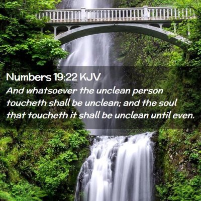 Picture 02 - Numbers 19:22 KJV - And whatsoever the unclean person toucheth shall - Bible Verse Picture