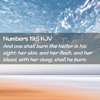 Picture 02 - Numbers 19:5 KJV - And one shall burn the heifer in his sight; her - Bible Verse Picture