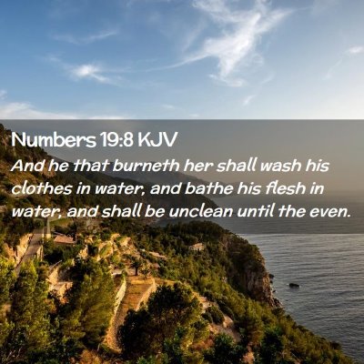 Picture 02 - Numbers 19:8 KJV - And he that burneth her shall wash his clothes in - Bible Verse Picture