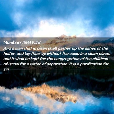 Picture 02 - Numbers 19:9 KJV - And a man that is clean shall gather up the ashes - Bible Verse Picture