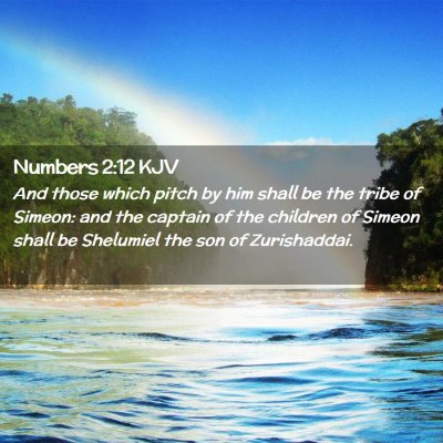 Picture 02 - Numbers 2:12 KJV - And those which pitch by him shall be the tribe - Bible Verse Picture