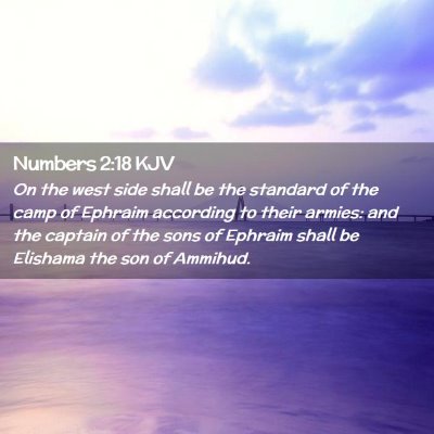 Picture 02 - Numbers 2:18 KJV - On the west side shall be the standard of the - Bible Verse Picture
