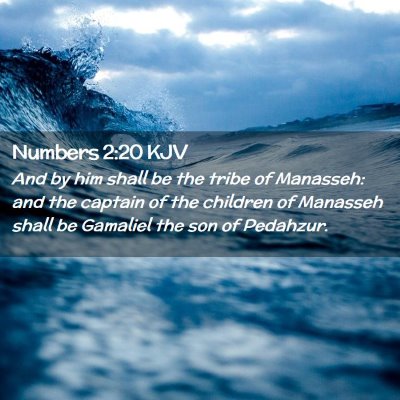 Picture 02 - Numbers 2:20 KJV - And by him shall be the tribe of Manasseh: and - Bible Verse Picture