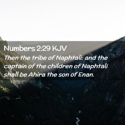 Picture 02 - Numbers 2:29 KJV - Then the tribe of Naphtali: and the captain of - Bible Verse Picture
