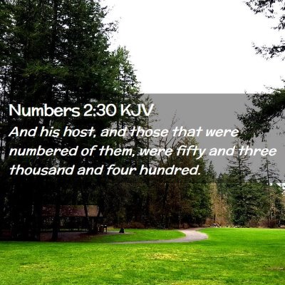Picture 02 - Numbers 2:30 KJV - And his host, and those that were numbered of - Bible Verse Picture