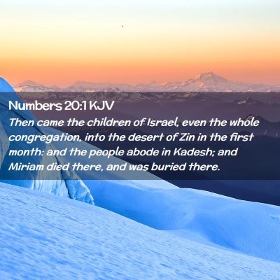 Picture 02 - Numbers 20:1 KJV - Then came the children of Israel, even the whole - Bible Verse Picture