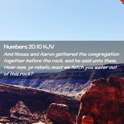 Picture 02 - Numbers 20:10 KJV - And Moses and Aaron gathered the congregation - Bible Verse Picture